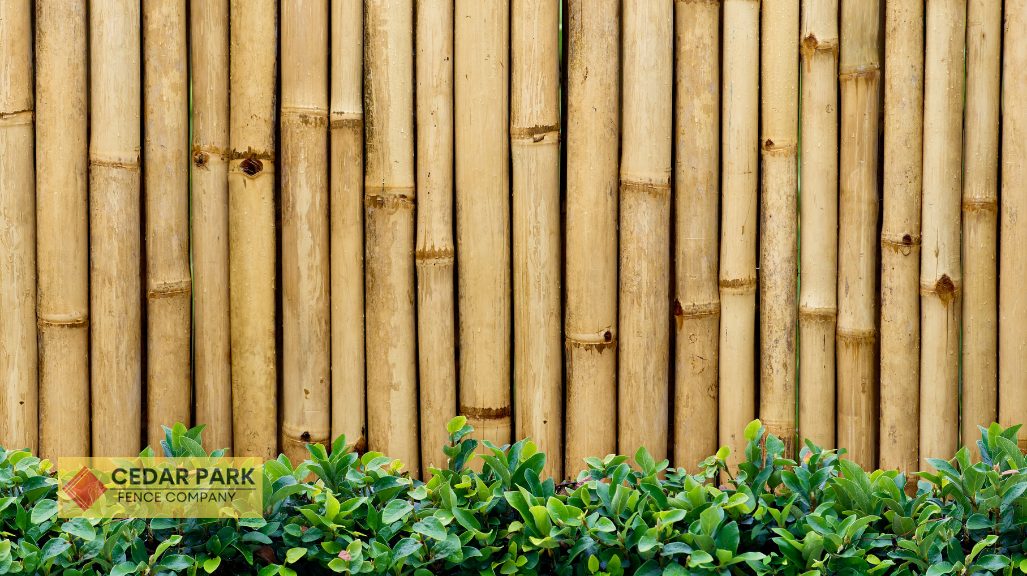 bamboo fence